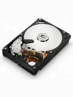 4 ТБ Seagate Surveillance ST4000VX000 Seagate-0